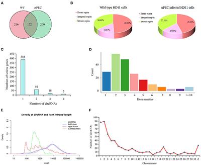 Analysis of circRNA expression in chicken HD11 cells in response to avian pathogenic E.coli